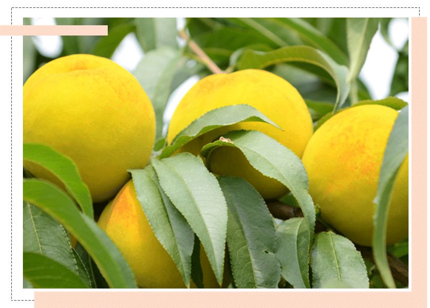 20元零食宝藏,8款超好吃的宝藏零食