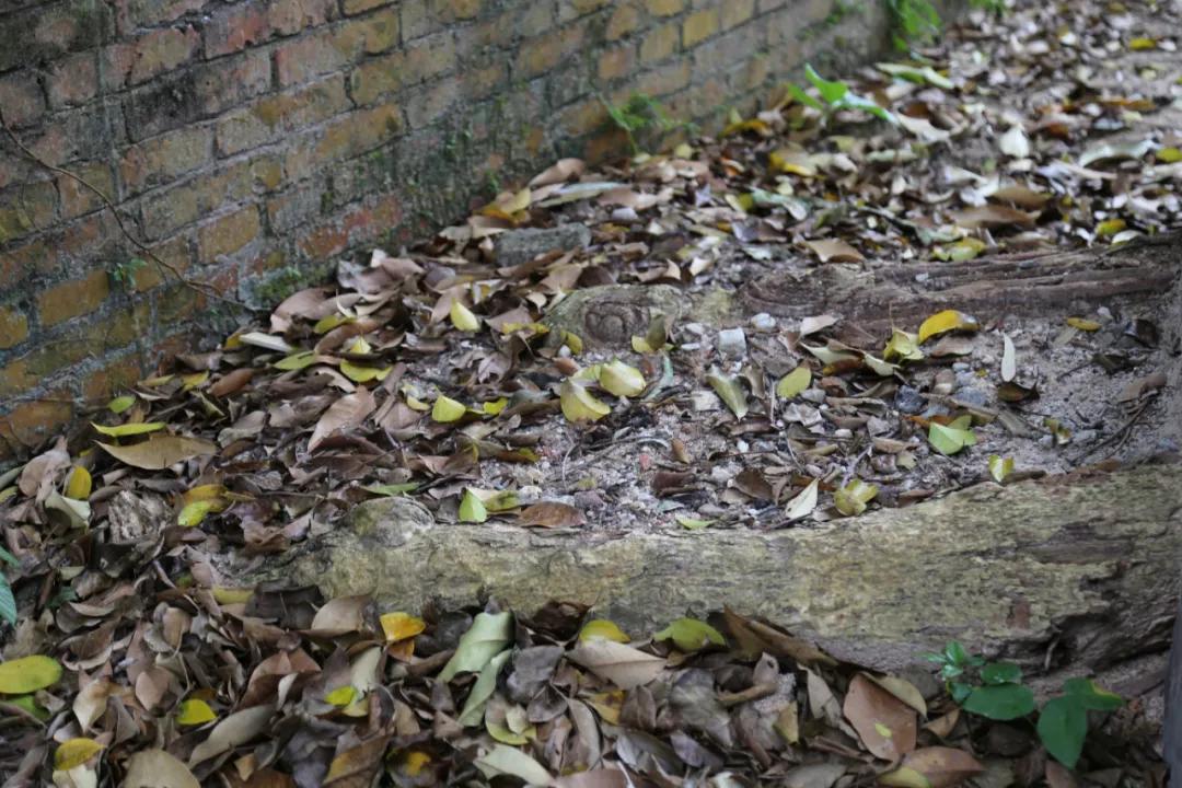 检察蓝用心守护海洋蓝,检察蓝守护最美夕阳红