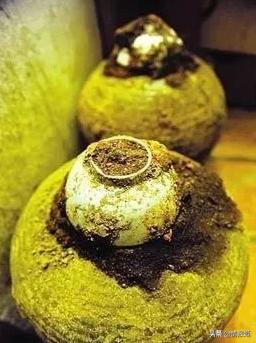 健康*男处**拉的一坨屎，能卖300块