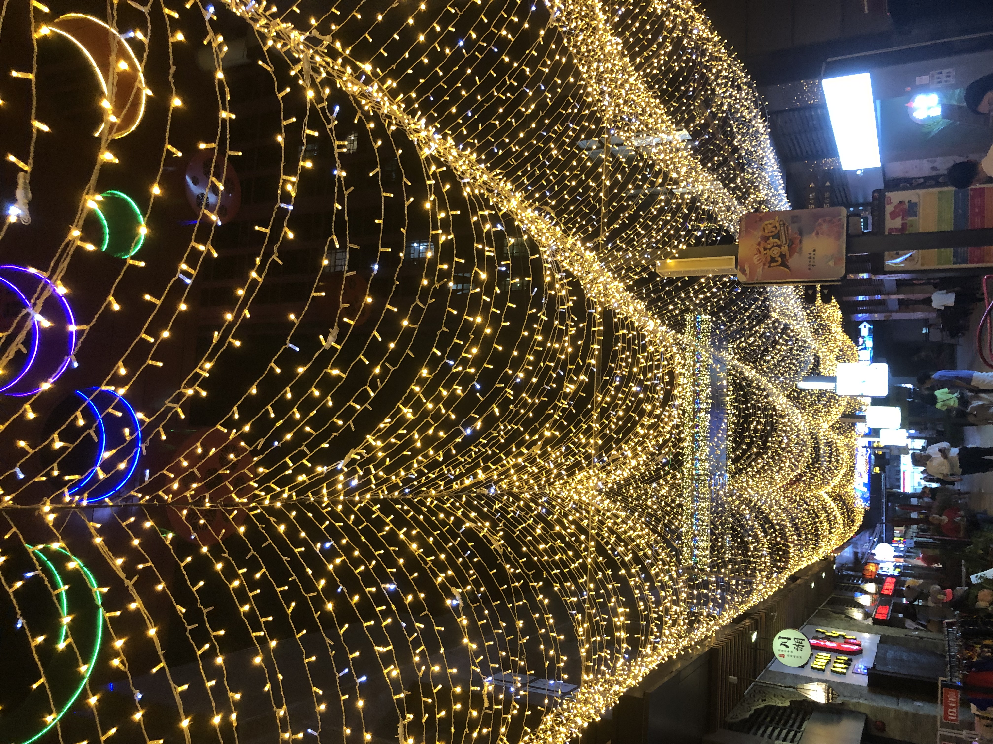 广州长隆两天一夜保姆级攻略,长隆一日游保姆级攻略