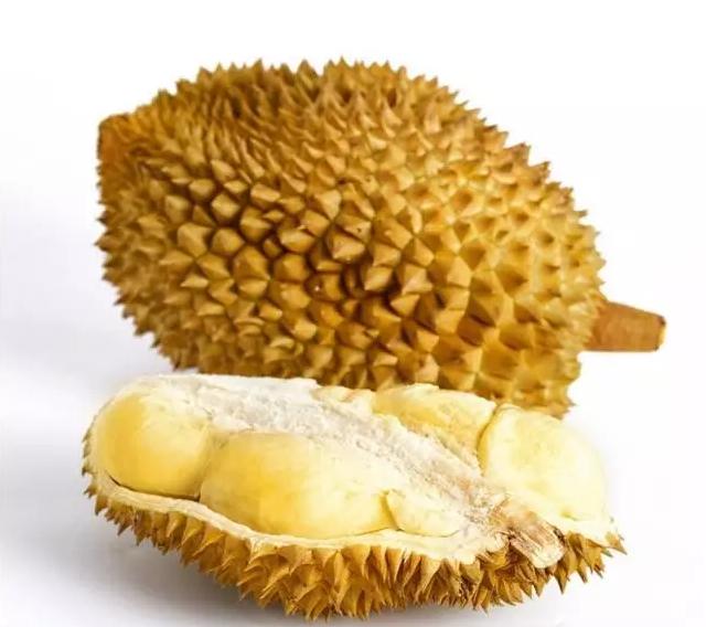 榴莲是不是热带水果之王,热带水果榴莲视频