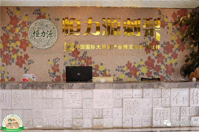 刺梨功能营养饮料,助农团团营养餐