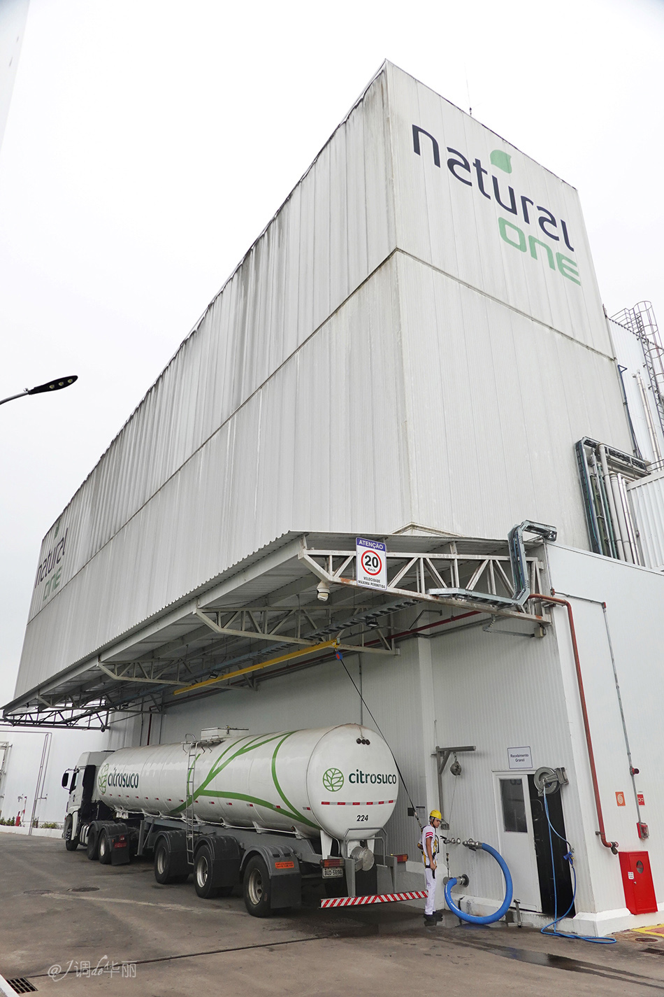 巴西像内马尔的人,巴西像