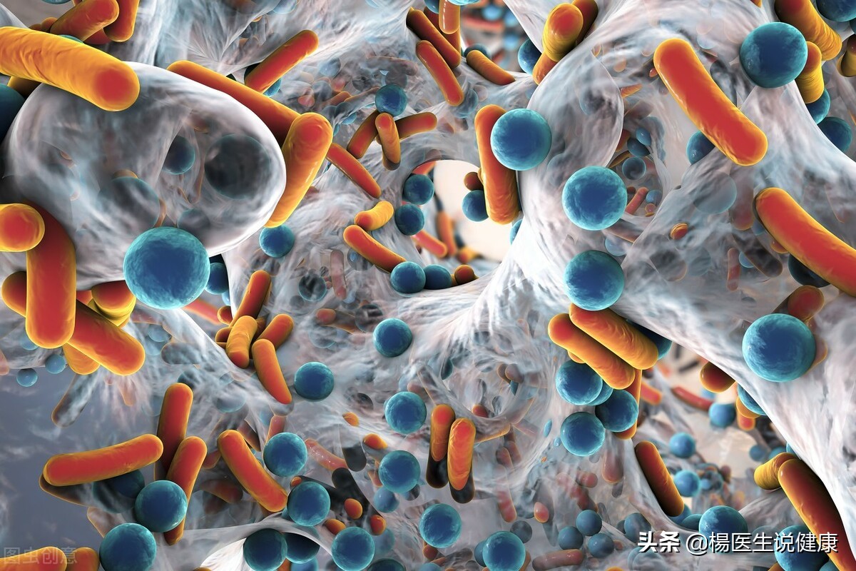 阿莫西林是好药只对5种病有效,阿莫西林是好药但只对四种病有效