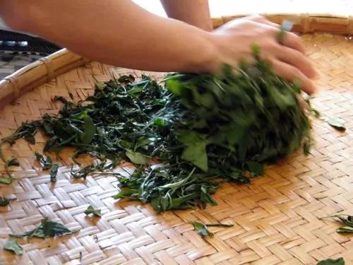 非物质文化遗产绿茶介绍,婺源绿茶制作工艺为国家级非遗