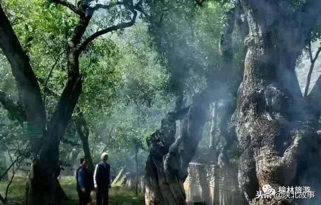 榆林有哪些网红打卡点,11月榆林适合去的网红打卡地