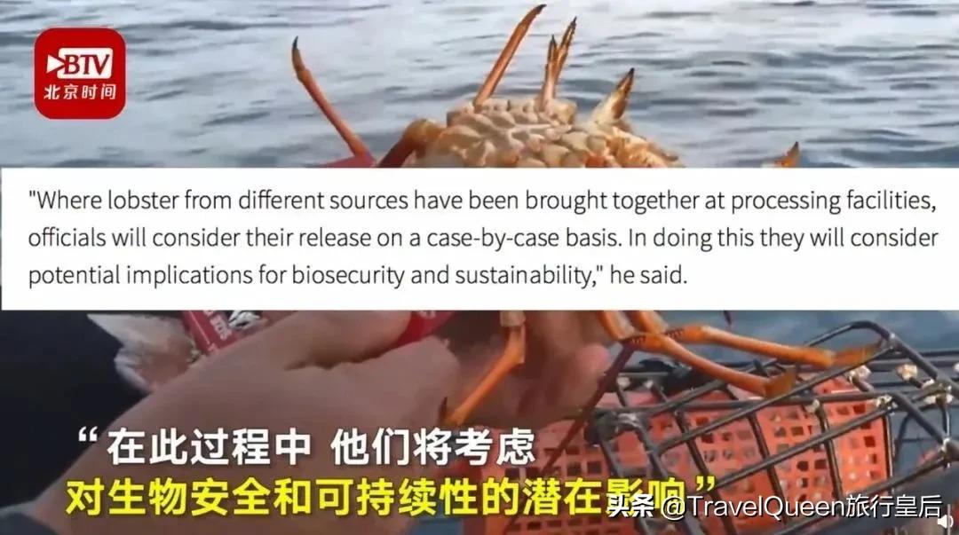 如果没有中国游客,世界该有多无聊