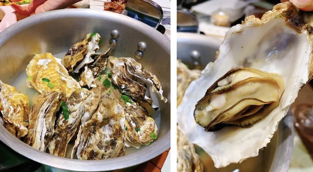 大片腰子头刀胸口,小龙虾38、乳山生蚝20一大锅,长春合隆这店行