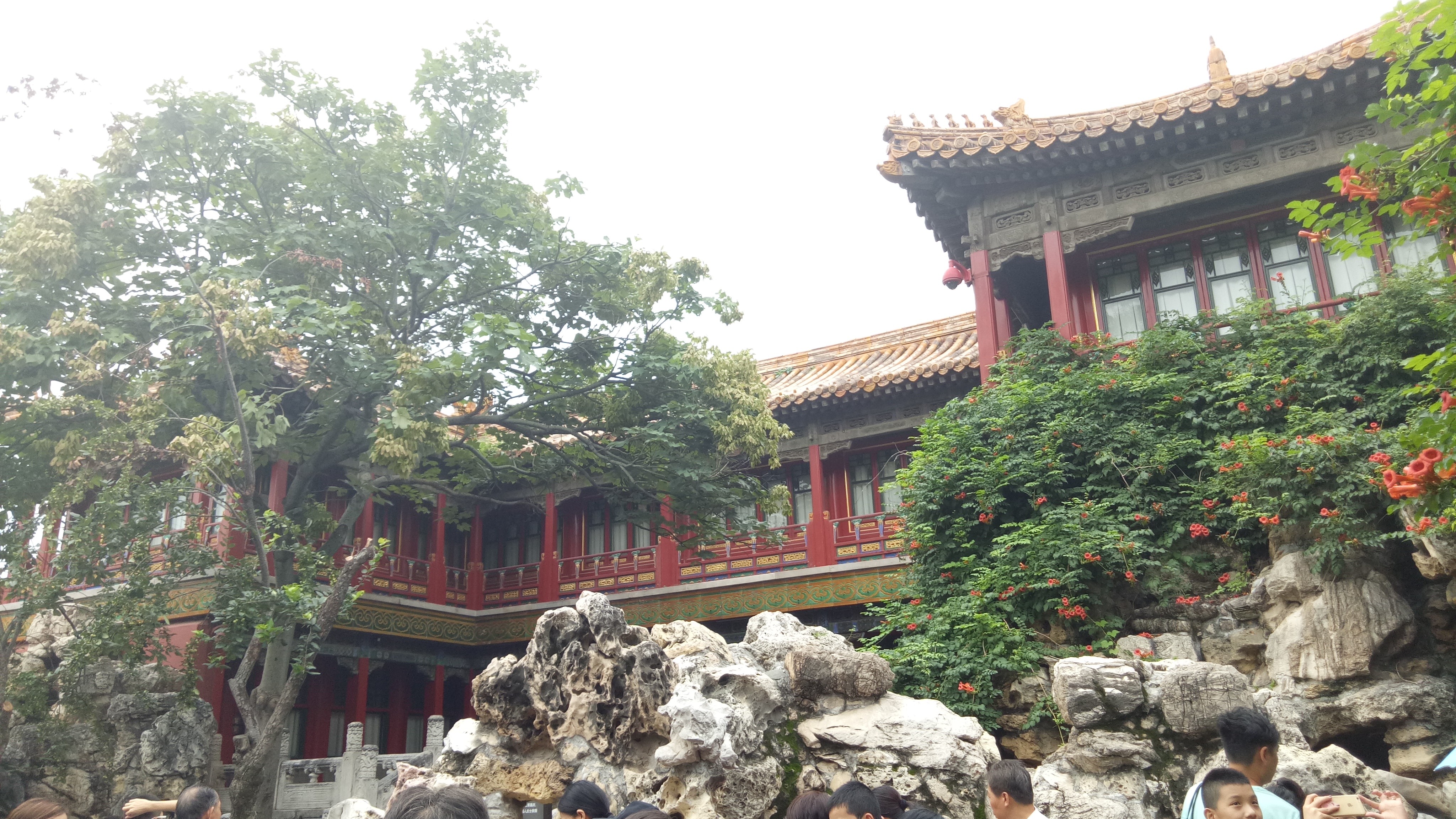 宅家又如何?翻开相册!浙大学子带你进行回忆式线上旅游!