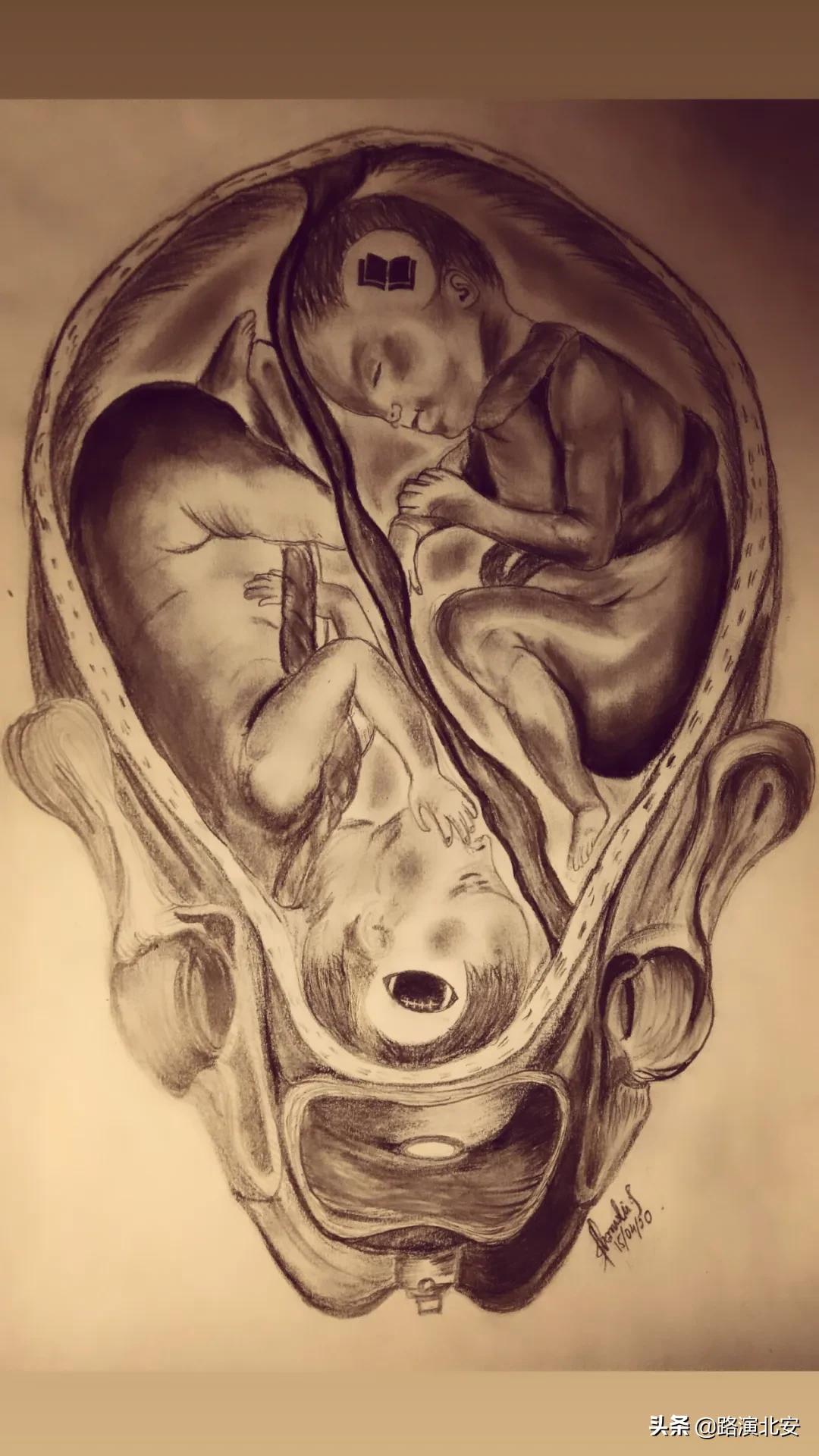 生命的故事绘本视频,生命的故事绘本绘画