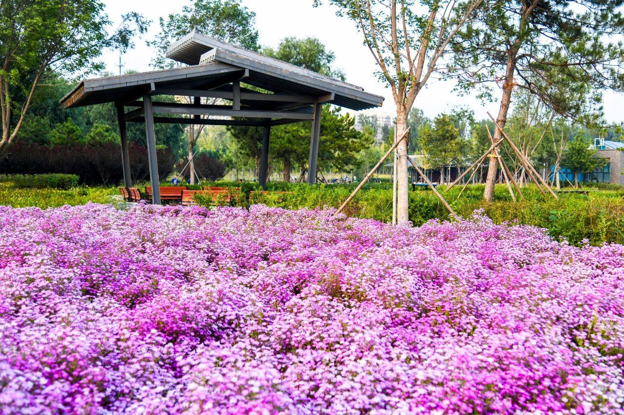 昌平未来五年的发展,昌平未来五年