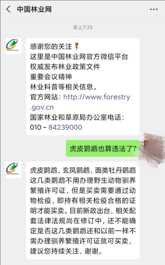 养了只鹦鹉被判10年的大学生,被判刑的鹦鹉