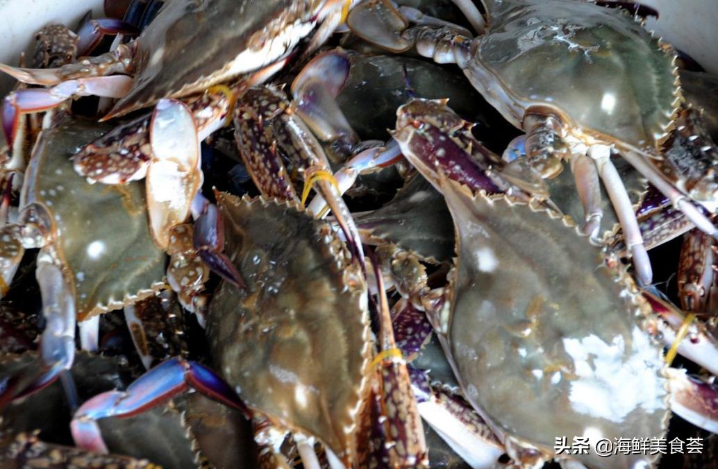 沿海最好吃的菜,好吃的小海鲜都有哪些