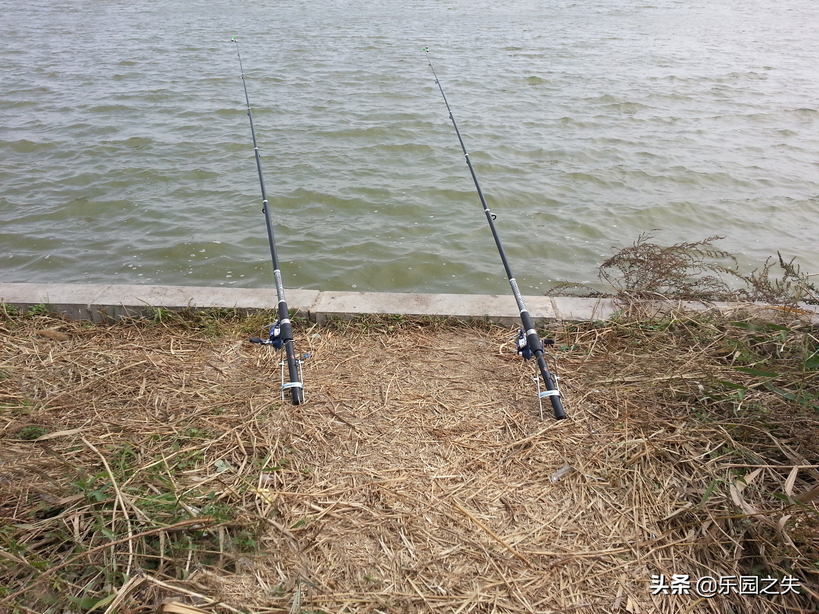 海竿和矶钓竿怎么区别,海竿和矶钓竿区别在哪