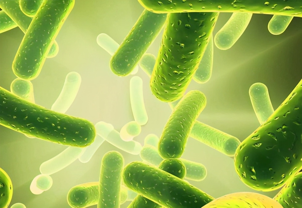 黄疸如何判断是生理还是病理性,新生儿怎么区分生理和病理性黄疸