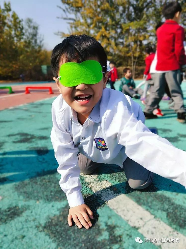 身体大揭秘动画,身体大揭秘