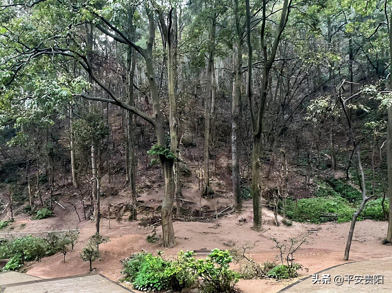 越来越嚣张了怎么办,越来越嚣张怎么解决