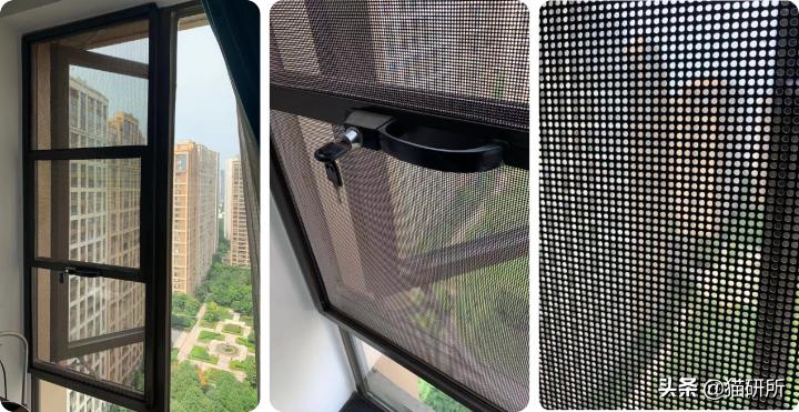 高层养猫到底要不要封窗,封窗养猫