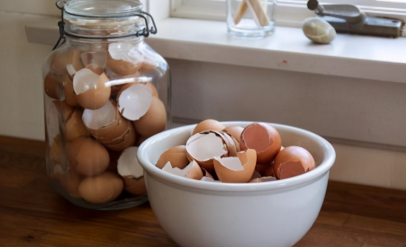 淘米水养花的正确方法和注意事项,鸡蛋壳淘米水做养花肥料的方法