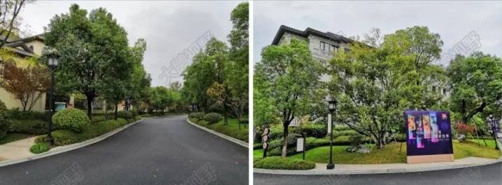 什么才是真正的特色小镇,以前无人问津此后万人追捧