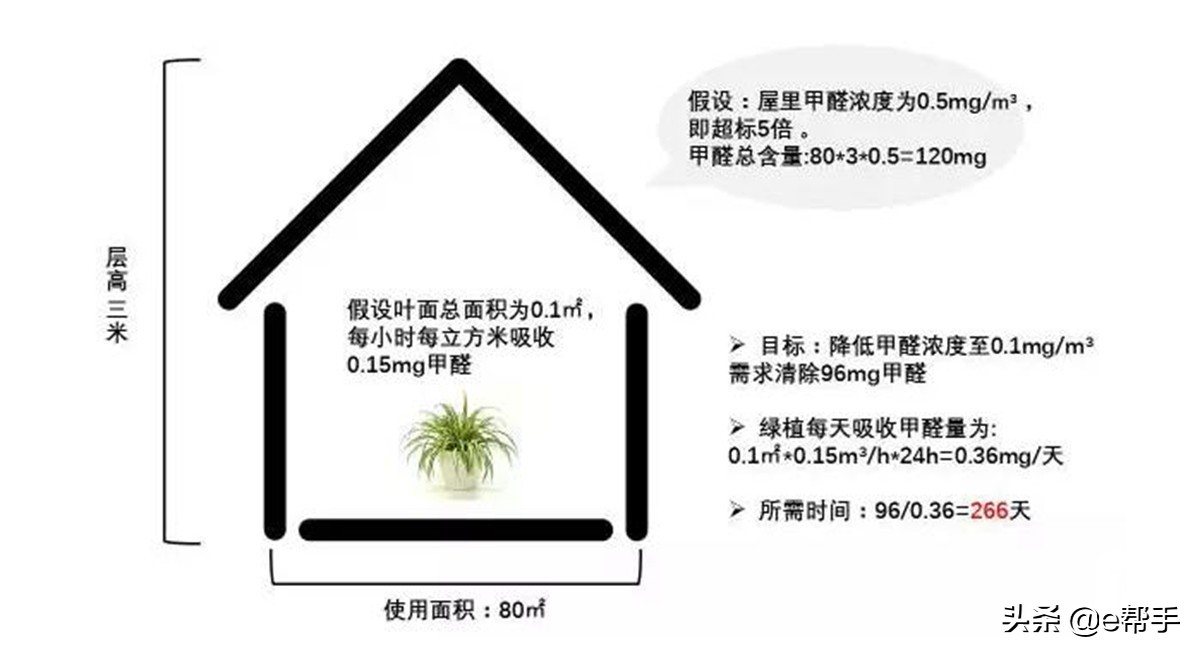 如何除甲醛最快最有效的方法,真正有效除甲醛5种方法