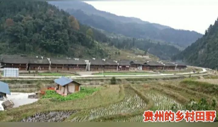 来贵州避暑真实感受,贵州避暑的真实感受