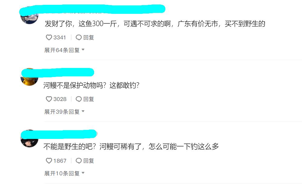 河鳗泛滥？江苏南通钓鱼人称一夜钓几十条，网友：这鱼300一斤