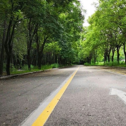 上海驾校科目三自动挡,上海驾校科目三考试全过程