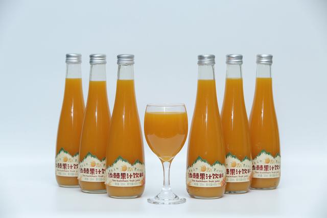 沙棘果的故事,沙棘的故事完整版