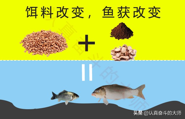 小杂鱼多了怎么避开小杂鱼,小杂鱼怎么治