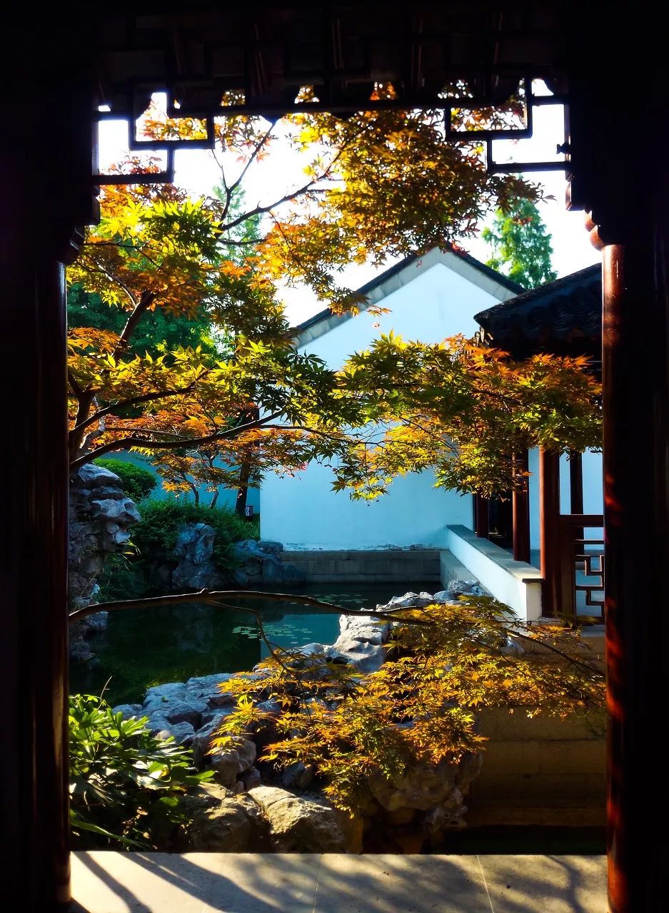 一入秋苏州成姑苏,秋色一入秋苏州就成了姑苏