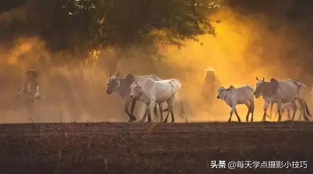 摄影技巧风景视频,风光摄影偏振镜有什么用途