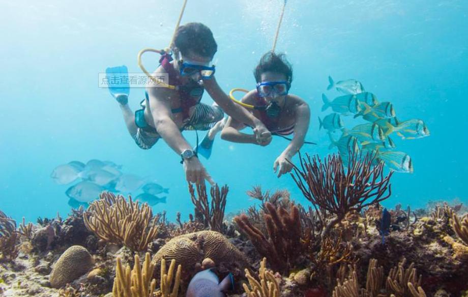 坎昆必游景点排名前十,坎昆加勒比海边度假