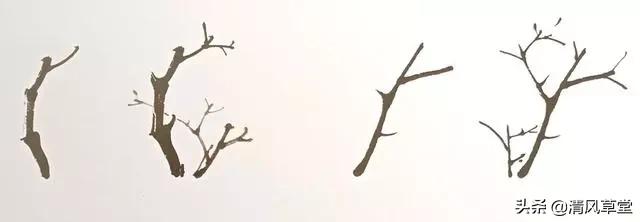 少儿国画花卉画法视频,各种花卉的100种画法