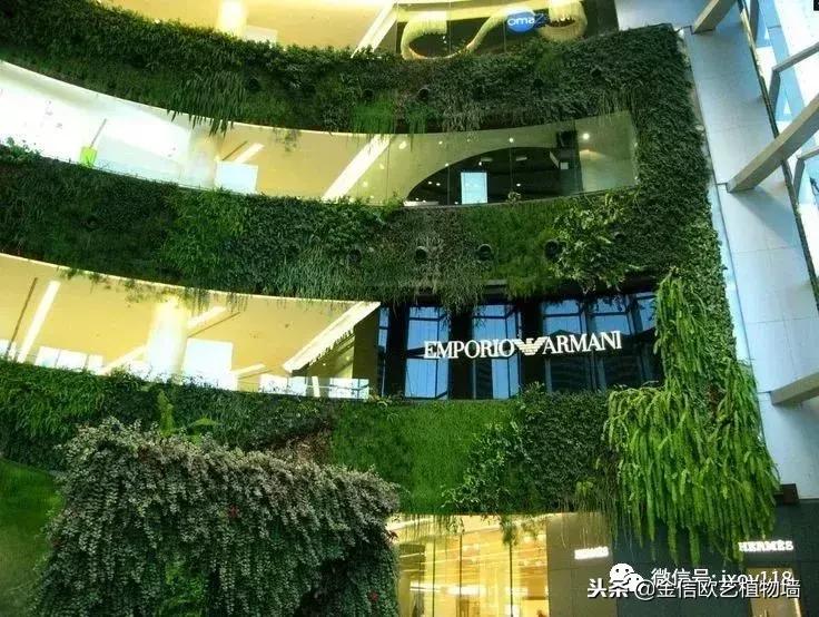 沈阳市仿真植物墙,仿真植物墙制作视频教程