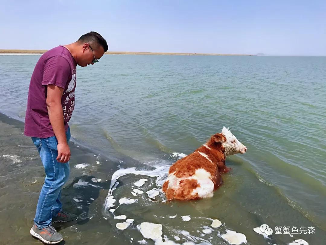 承德到大草原自驾游攻略,北京出发热阿线达达线自驾游攻略
