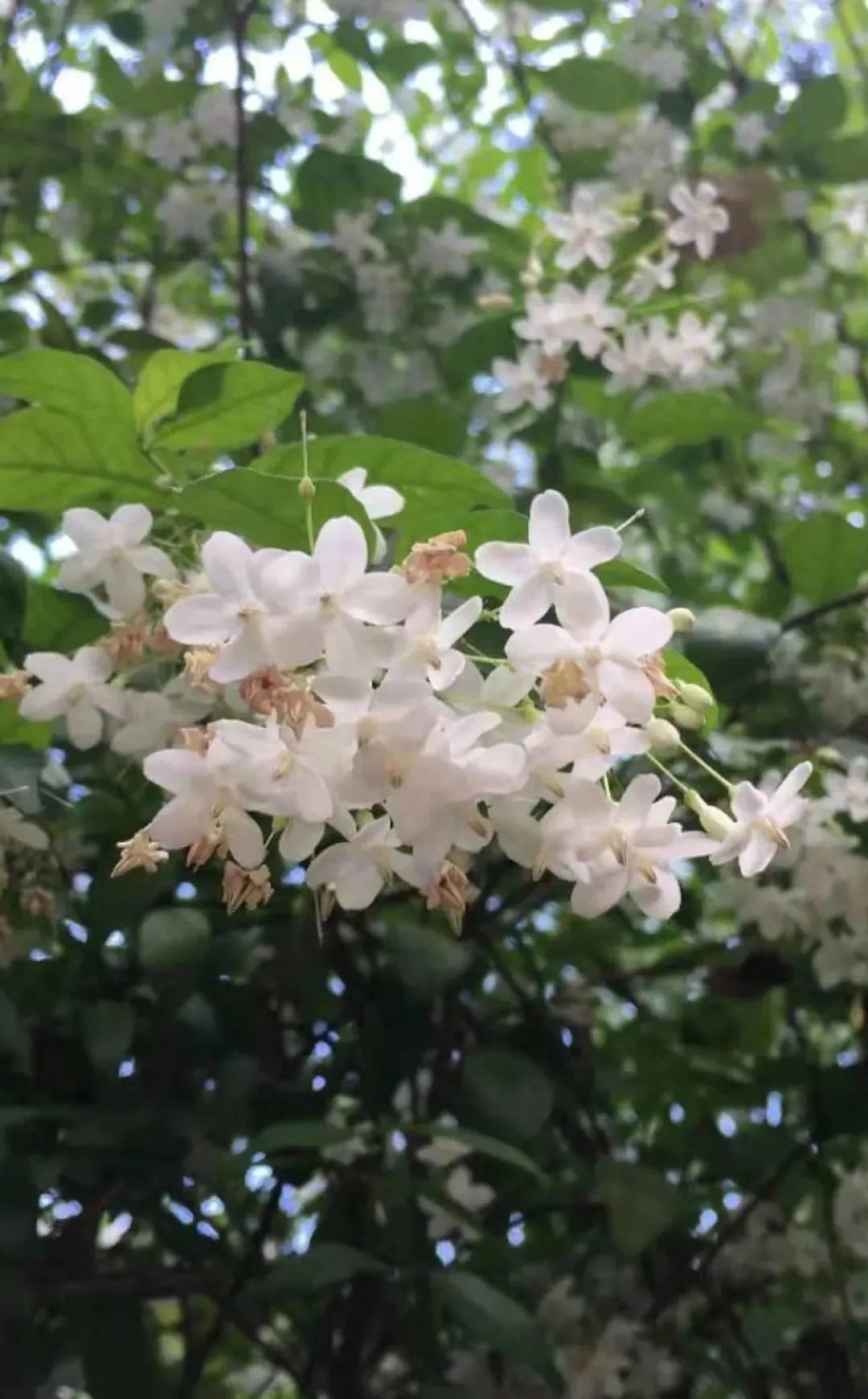 泰国有多好玩,泰国有什么好玩的东西