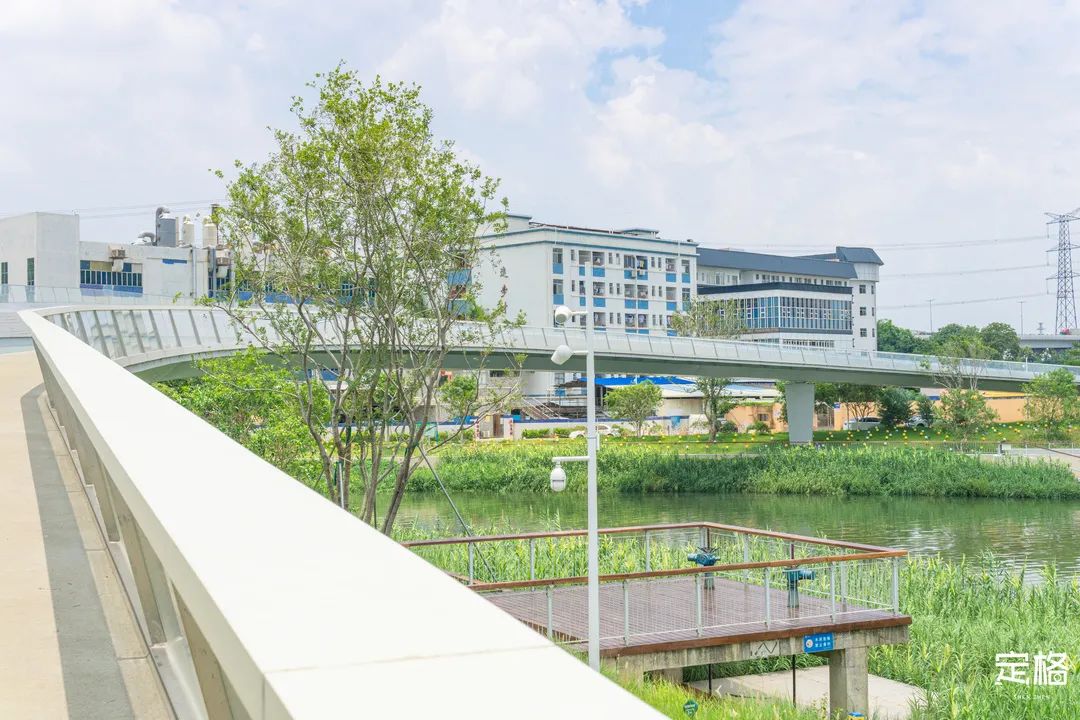 沙井万丰哪里的生蚝好吃,深圳沙井生蚝最出名店