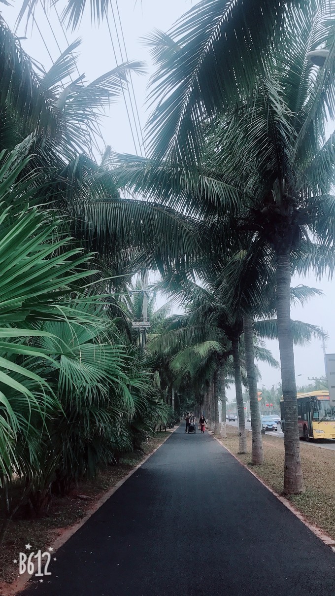 海口约会一日游,海口夜晚适合约会浪漫的地方