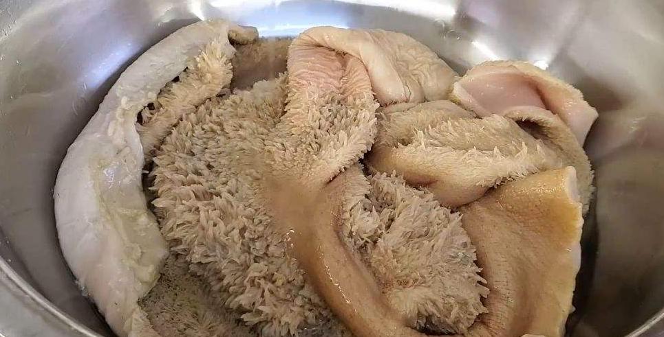 牛肚最好吃的吃法,牛肚最好吃的做法图片大全