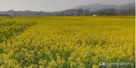 抗击疫情警察父子兵,硬核家庭祖孙三代抗疫齐上阵