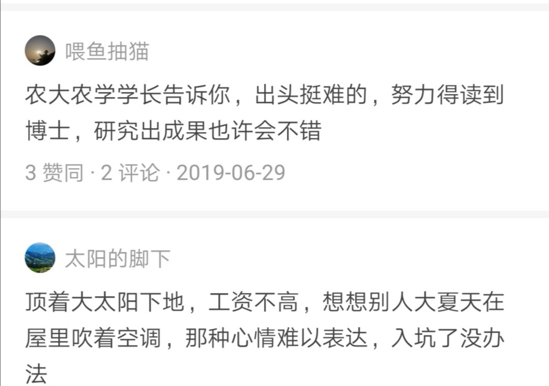 农学专业适合报考什么,填报志愿农学就业率高的专业