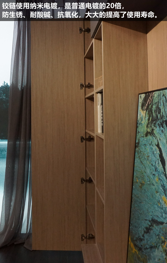 莱茵艾格衣柜设计,莱茵艾格家居衣柜