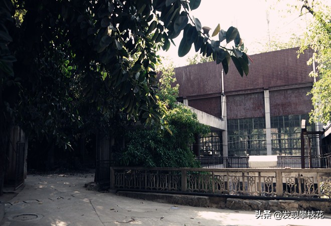 船厂生活区小区,攀枝花渡口船厂小区简介