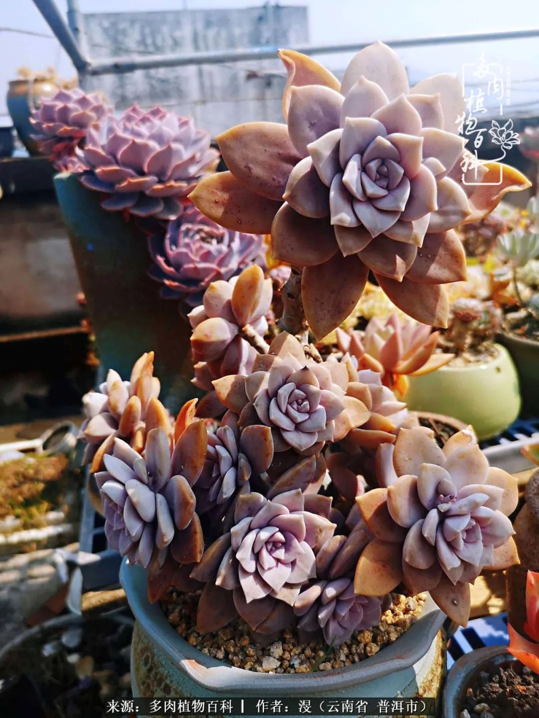 风过留痕讲的啥,风过留痕朗诵