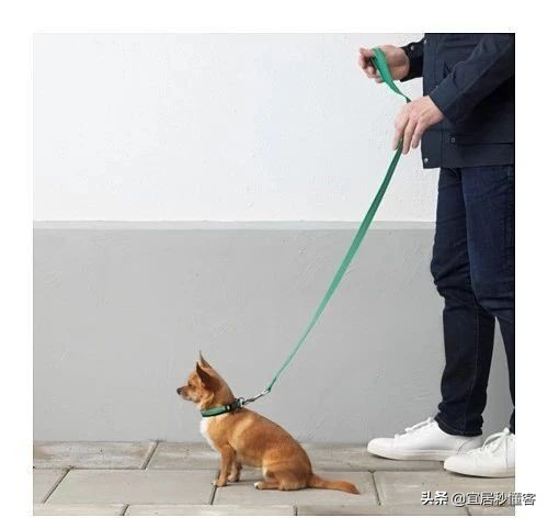 宜家最好用的宠物,宜家中可以给宠物购买的物品