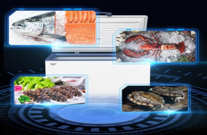 低温保鲜冰柜,零下60度超低温速冻冰柜