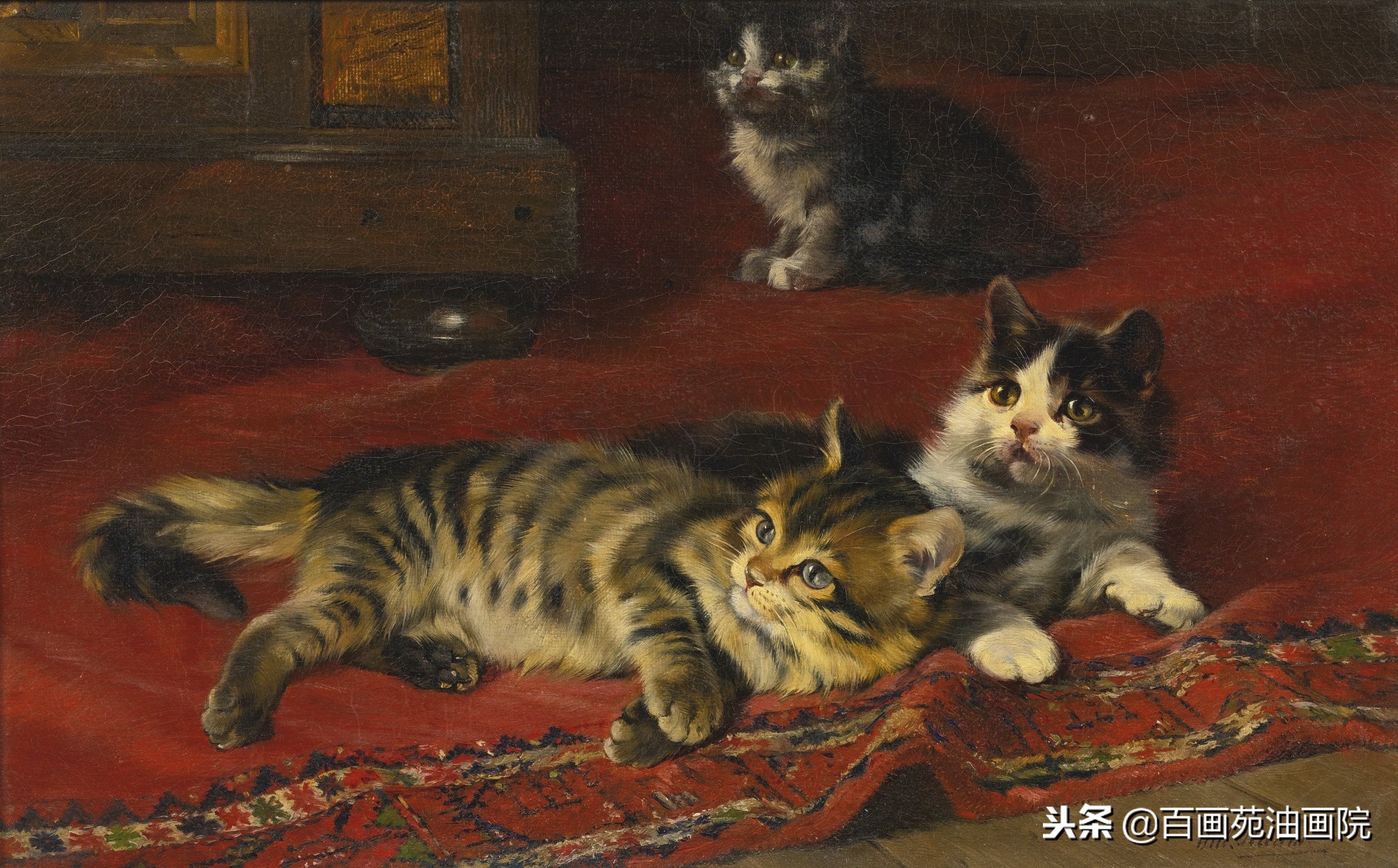 一步一步教你画油画动物,油画动物的绘画步骤