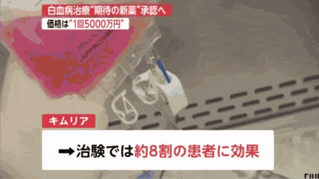 日本正式攻克白血病！出国就医成为新趋势