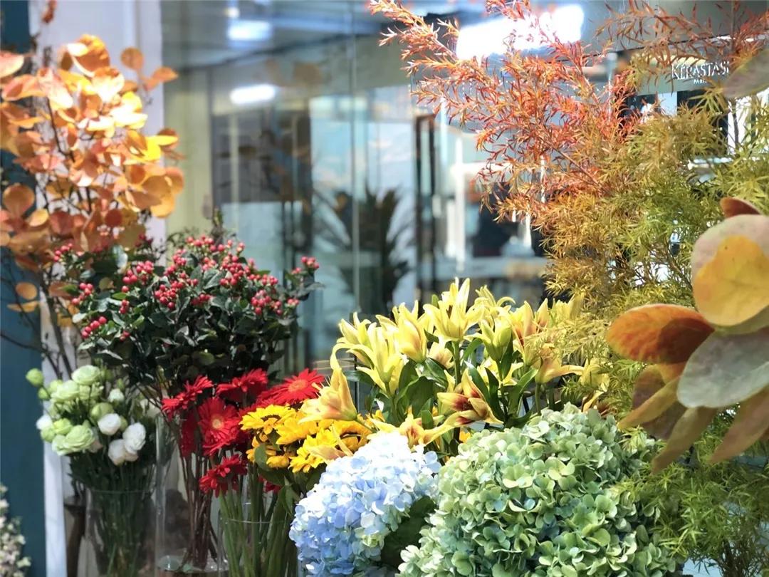 瀛氱編鑺卞皻,鍖椾含瀛氱編鑺卞皻